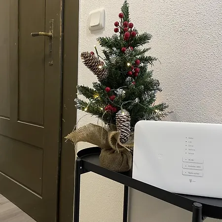 Apartment Kuschlnest Schneeberg (Saxony)